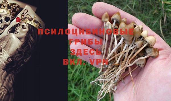 амф Надым